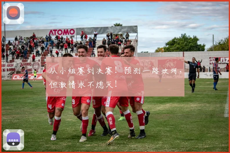 从小组赛到决赛！预测一路坎坷，但激情永不熄灭！